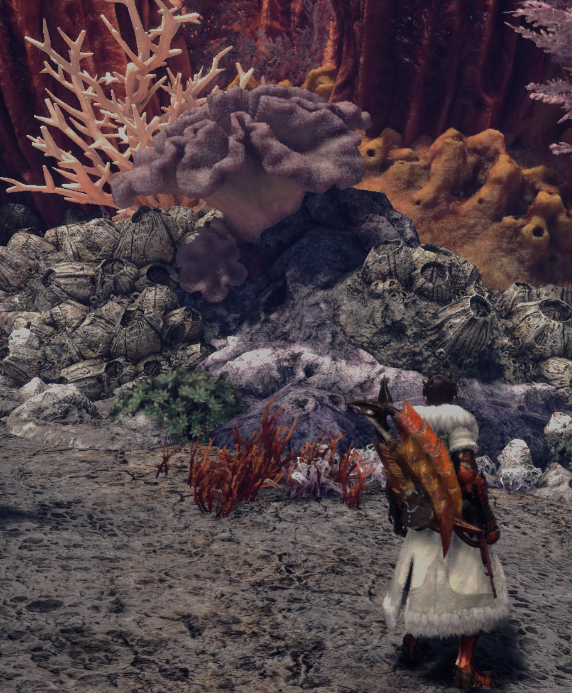 fiji_leather_cluster